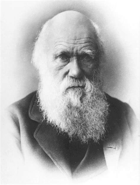 Charles Darwin Dijo Su Partner En Panamá