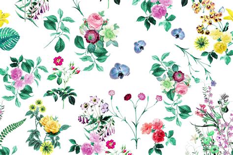 Pretty Floral Backgrounds Wallpaper Cave
