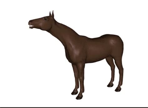 #modo cavalo maluco activo faça também o seu video juntos somos mais forte. Tumblr Animated GIF