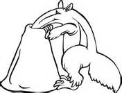 Use this lesson in your classroom, homeschooling curriculum or just as a fun kids activity that you as a parent can do with your child. Northern Tamandua on a Tree coloring page | Super Coloring