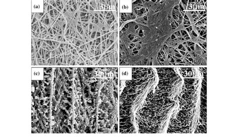 Sem Images Of Bc A Surface Morphology C Cross Section Morphology