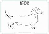Dachshund Printable Coloring Dog Puppy Weiner Getdrawings Getcolorings Colorings sketch template