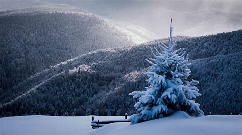 I Spent One Winter Capturing Magical Views Of Romania Landscape