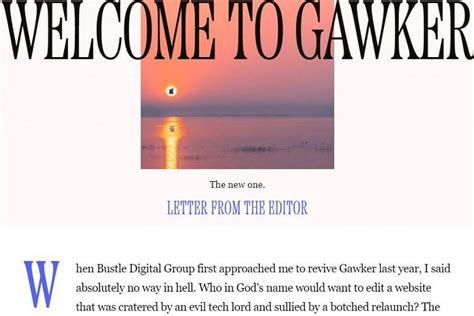 Celebrity Gossip Site Gawker Relaunches After Sex Tape Forced Shutdown The Straits Times