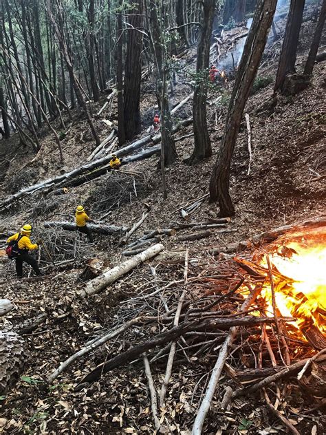 Why Are Prescribed Fires A Major Tool For Preventing Forest Blazes