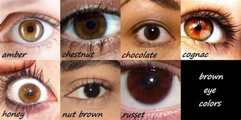 Brown Eyes Facts Personality Traits And Health Risks