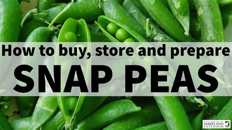How To Buy Store And Prepare Snap Peas Youtube