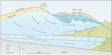 Conceptual Sketch Of Tsunami Salinisation Impacts On Groundwater