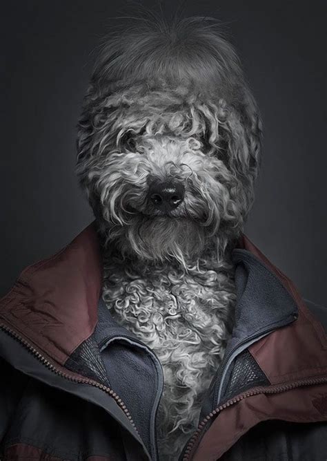 Dogs Dressed As Humans 7 Photos Funcage