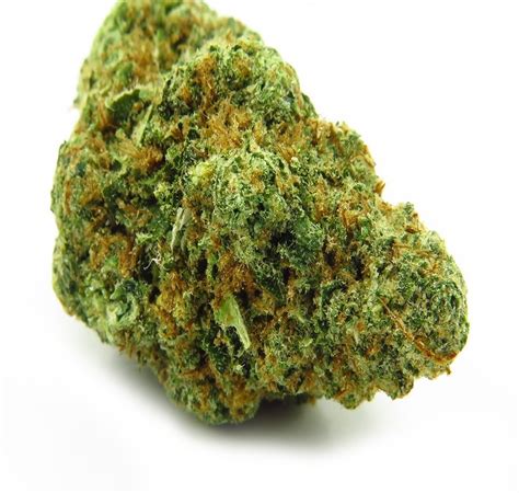 Gelato Cannabis Strain Hybrid Weed Delivery From Kool Mj