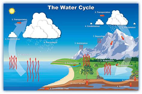 It's one in a cycle of plays that are being performed on successive evenings. Water Cycle Facts