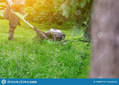 Worker Mows The Grass On The Lawn In The Park Gasoline Lawn Mower Stock