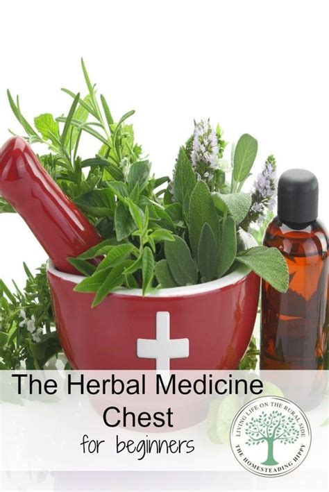 What To Keep In Your Herbal Medicine Chest These Basics Are Great For