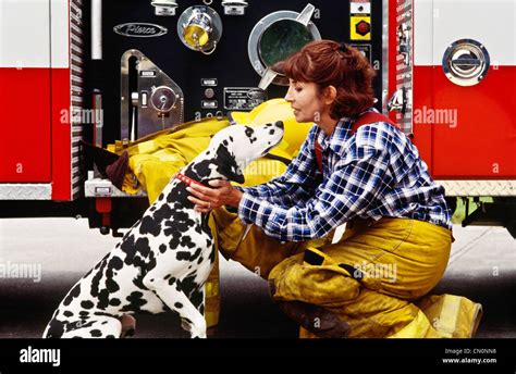 Why Are Dalmatians Firefighter Dogs