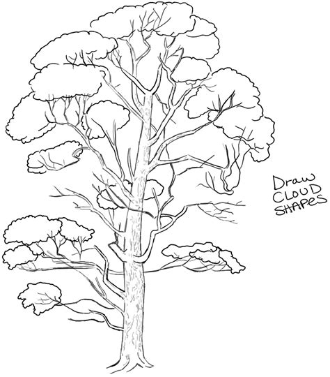 How To Draw Trees Drawing Realistic Trees In Simple Steps How To