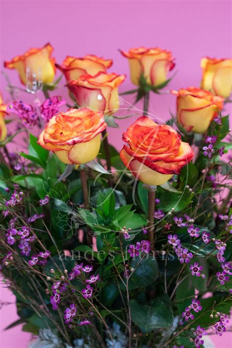 Amber Dozen Long Stem High Magic Roses In Torrance Ca Andes Florist