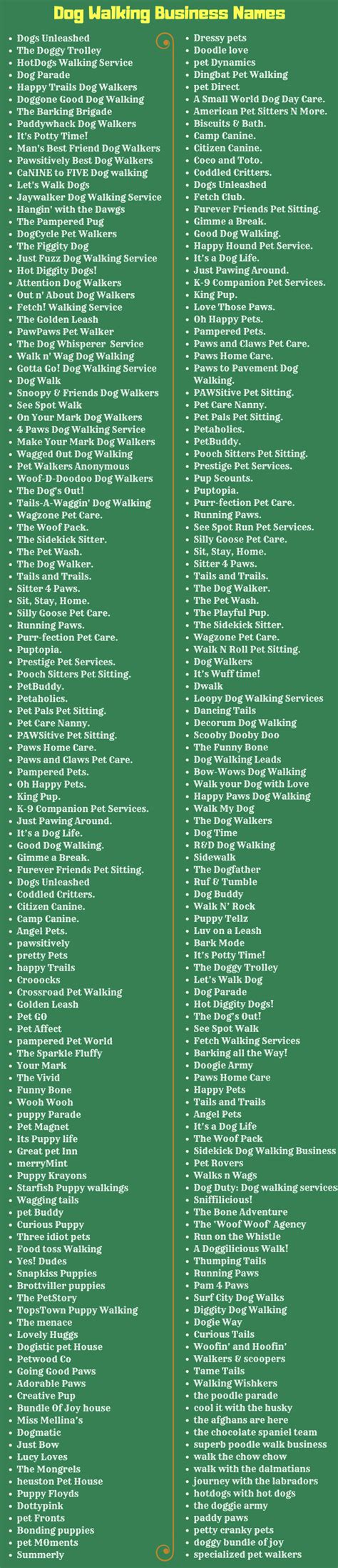 300 Catchy Dog Walking And Grooming Business Name Ideas