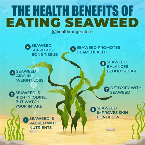 Health Benefits Of Seaweed
