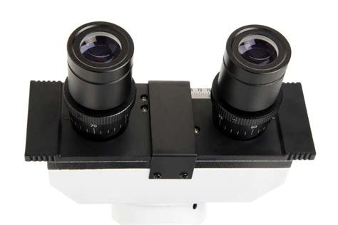 Celestron Labs Cb Cf Compound Binocular Microscope Us Version Menaoptics Com
