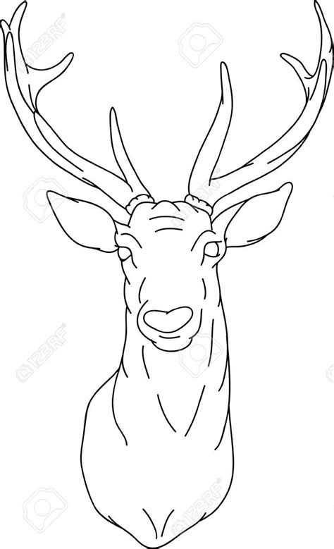 And yes we do not mean the head of a deer that hangs on the wall. Pin on How to Draw a ...