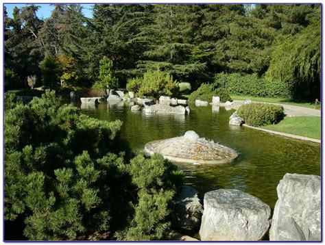 Sponsor a koi fish at the japanese friendship garden! Japanese Friendship Garden San Jose Admission - Garden ...