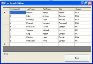 Datagridview Paging In Windows Forms Flow Firstbad