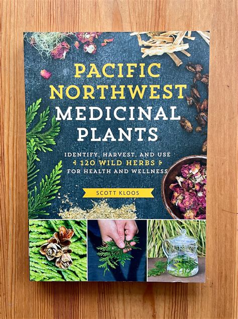 Pacific Northwest Medicinal Plants Book Worn Path