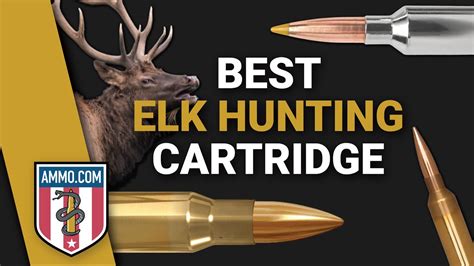 The 8 Best Elk Hunting Cartridges Bringing Down The Big Bulls Youtube