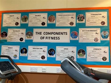 Pe Components Of Fitness Display Board Posters Gcse Physical