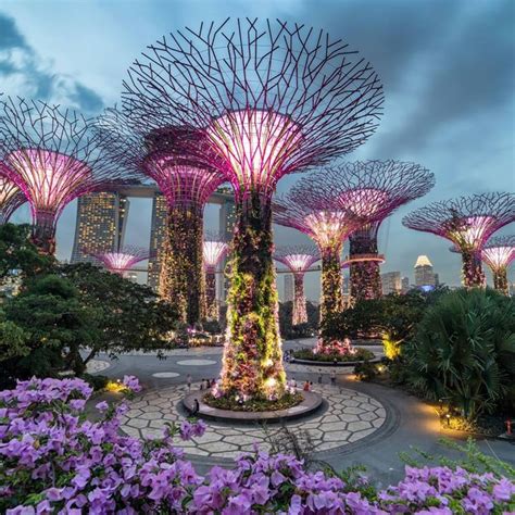 The Gardens By The Bay In Singapore Are Full Of Beautiful Flowers And