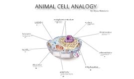 Because it is the center of the house and there is only one that is very important in the house, like the nucleus is the control center of the cell. Cell Analogy Project by Alyssa Matarazzo on Prezi