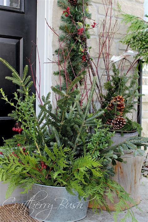 The Front Porch And Helping Christmas Evergreens Last Longer