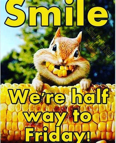 Happy Wednesday Funny Jokes