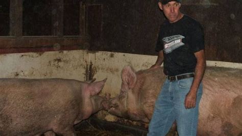 Hogs Eat People Farmer Says Hes Not Surprised Cbc News