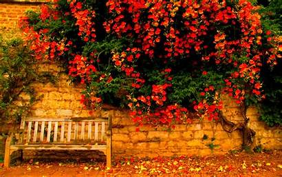 Autumn Wallpapers Fall Bench Season Nature Leaves