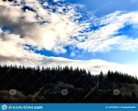 Dark Coniferous Forest And Clouds Stock Image Image Of Hiding Hill