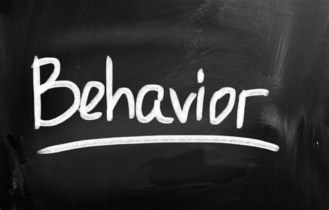 behavior marketing    business