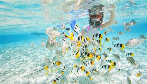 Add in amazing marine life to rival how do you want really want to compare the city? Activities - Redang Island