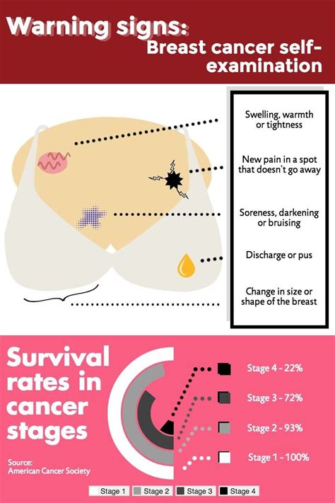 This higher mortality rate has been attributed to less awareness of male breast cancer and slower recognition of cancer symptoms, which can. Self breast examination advised to avoid cancer | Self ...