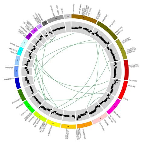 Cancer Genome Atlas Discovers Genomic Changes In Most Common Lung