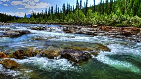 1920x1080 Forest Rocks Rapids Mountains River Coolwallpapersme