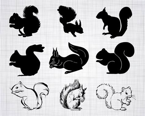 Download Squirrel SVG Bundle Squirrel SVG Squirrel Clipart Cut ...
