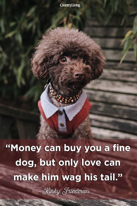 20 Cute Dog Love Quotes Puppy Sayings And Dog Best