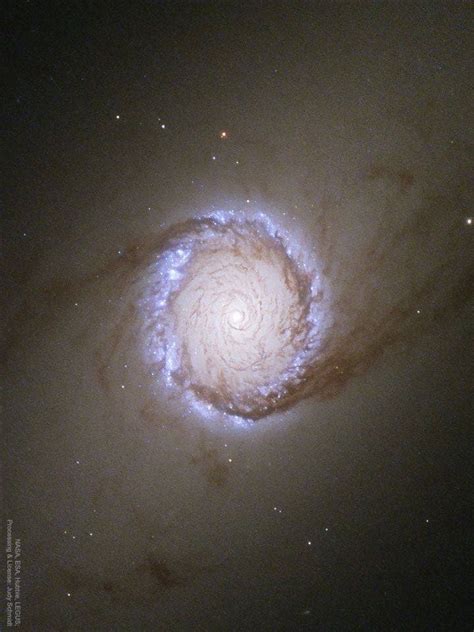 Apod 2017 July 10 Spiral Galaxy Ngc 1512 The Nuclear Ring Image