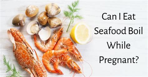 Can Pregnant Women Safely Indulge In Delicious Seafood Boils 2024