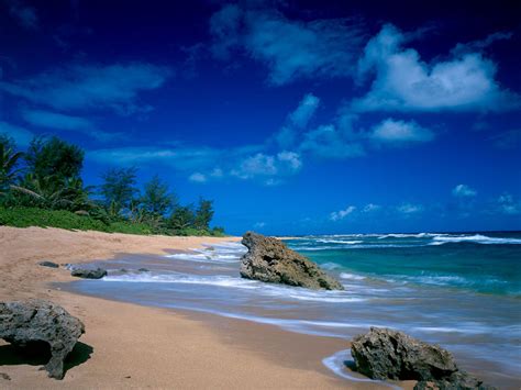 Free Download Free Desktop Wallpaper Tropical Beach Tropical Beach