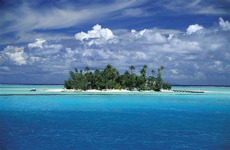 Small Palm Tree Covered Tropical Island Photograph By