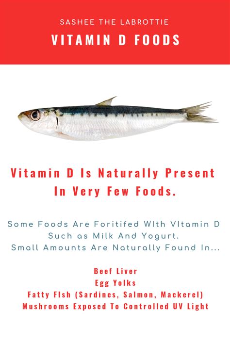 Maybe you would like to learn more about one of these? Vitamin D Foods in 2020 | Dog raw diet, Vitamin d foods ...