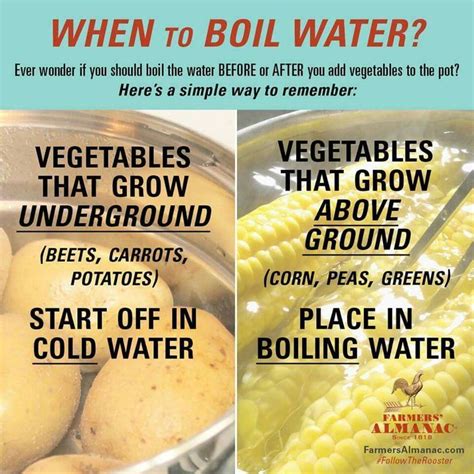 17 Best images about Food: Cooking tips and tricks on ...
