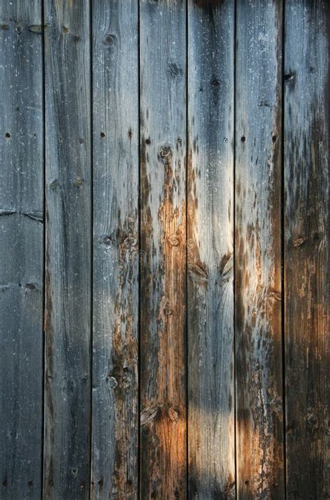 Grey Rustic Wood Plank Wall Texture Background Wood Old Plank Vintage